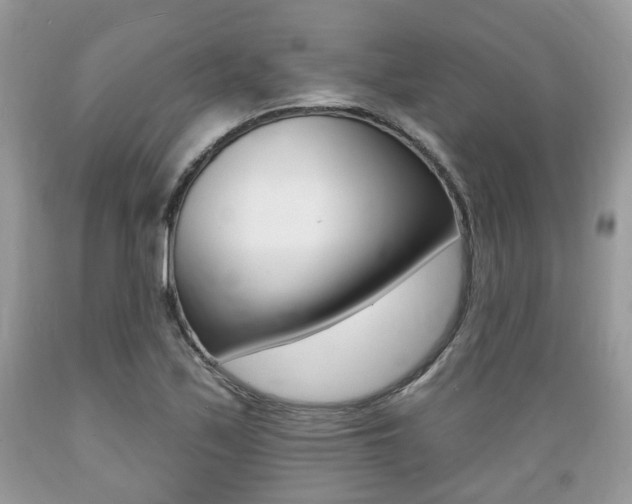 X0000089661171200706210724