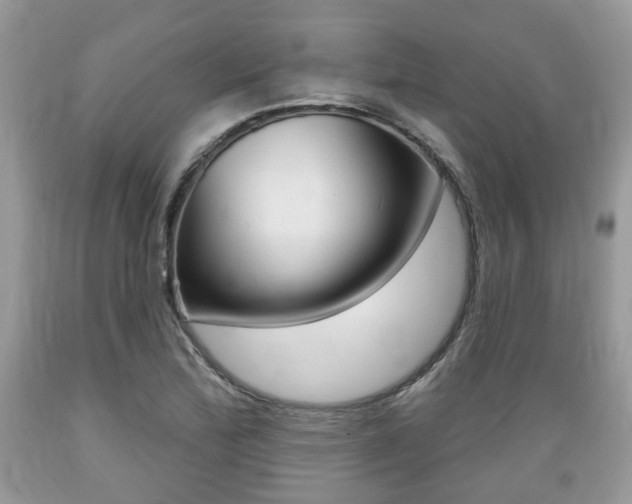 X0000089661172200706210724