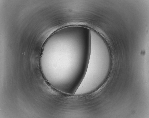 X0000089661177200706210724