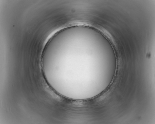 X0000089661182200706210724
