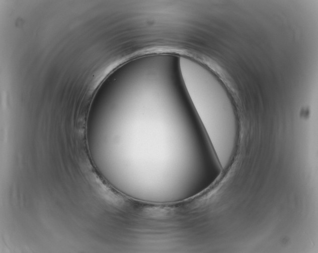 X0000089661185200706210724