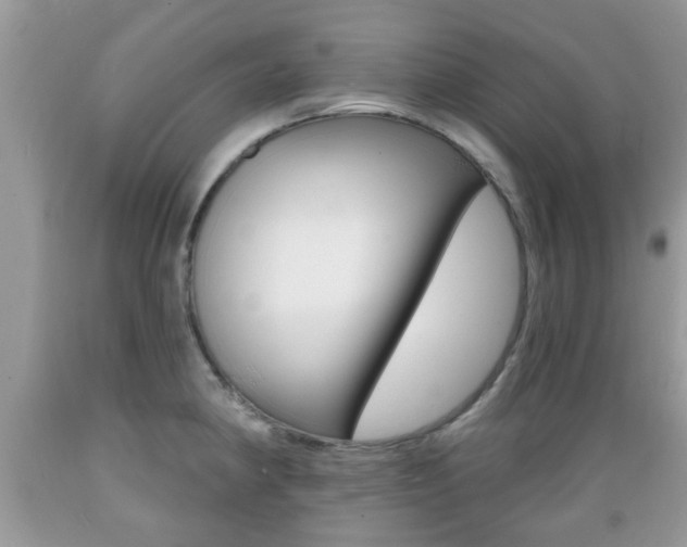 X0000089661190200706210724