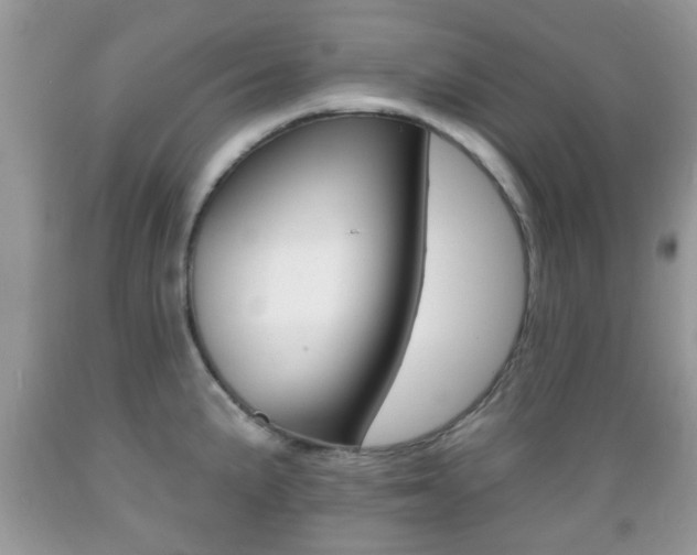 X0000089661191200706210724
