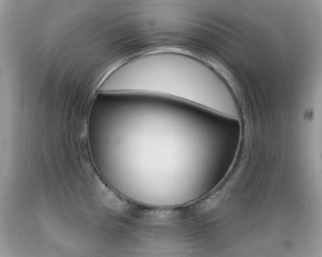 X0000089661193200706210724