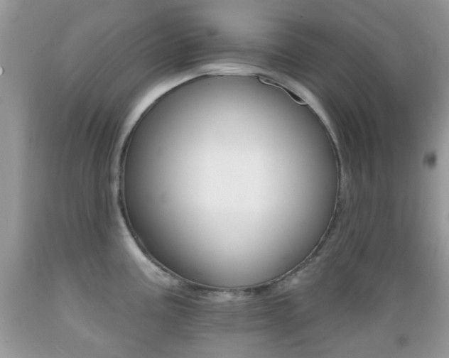 X0000089661195200706210724