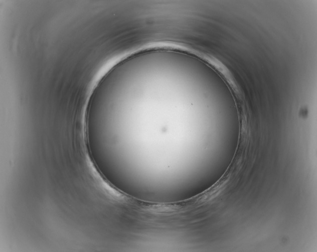 X0000089661199200706210724