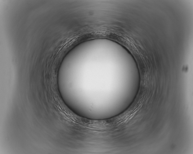 X0000089661201200706210723