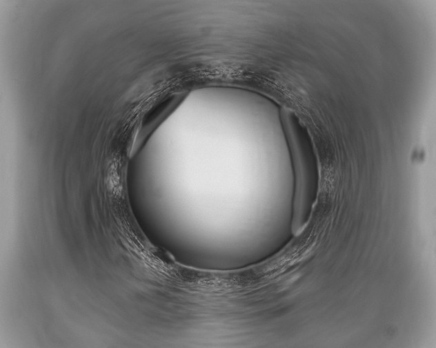 X0000089661202200706210723
