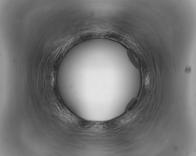 X0000089661204200706210723