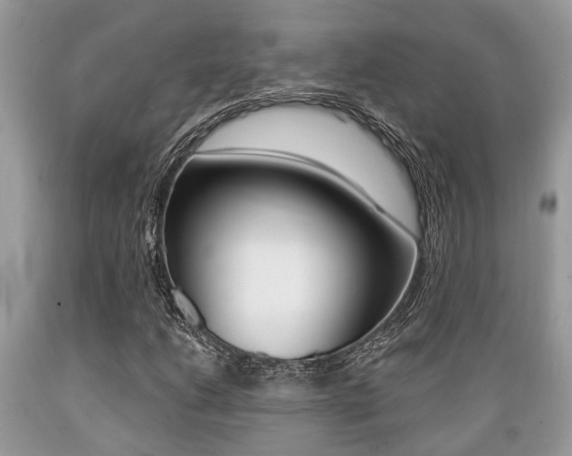 X0000089661206200706210723