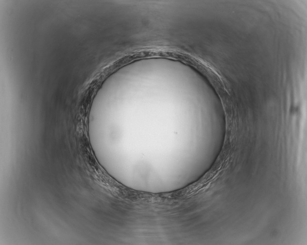 X0000089661207200706210723