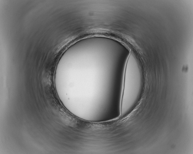 X0000089661209200706210723