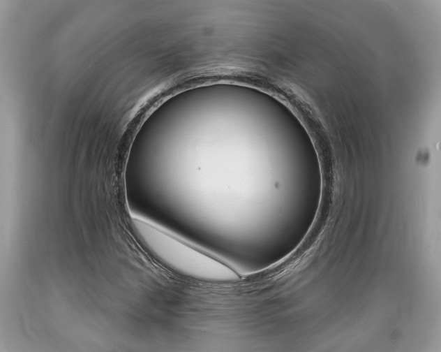 X0000089661210200706210723