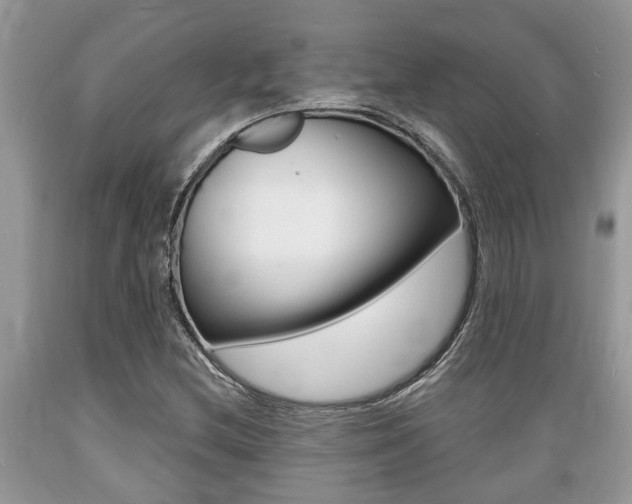 X0000089661212200706210723