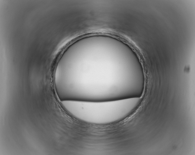 X0000089661215200706210723