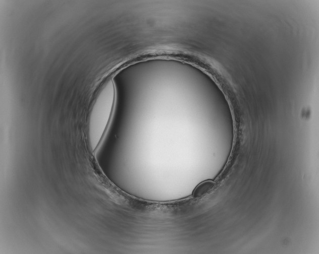 X0000089661217200706210723