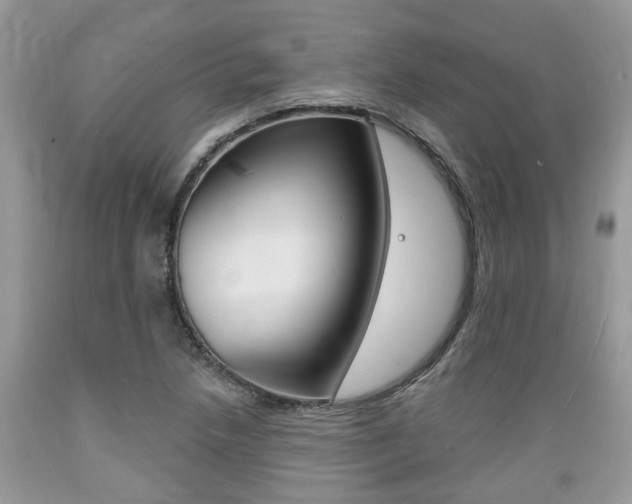 X0000089661218200706210723