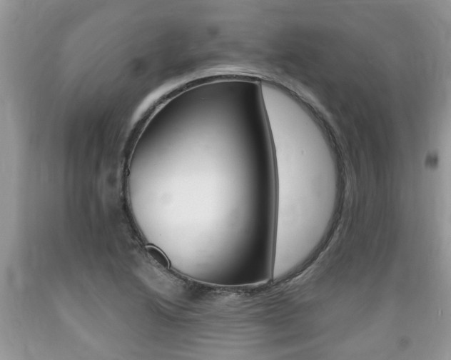 X0000089661222200706210723