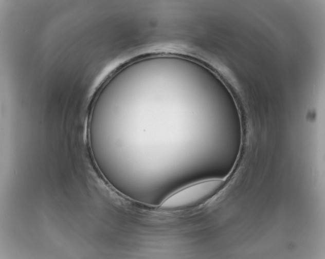 X0000089661224200706210723