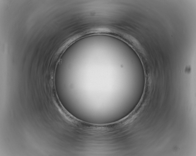 X0000089661225200706210723