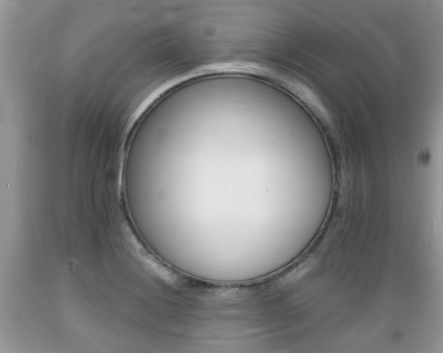 X0000089661228200706210723