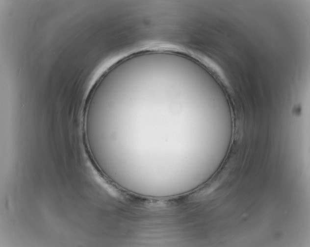 X0000089661231200706210723