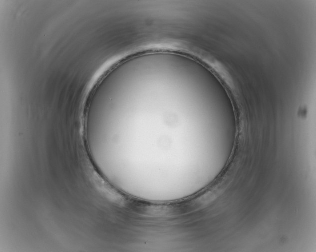 X0000089661232200706210723