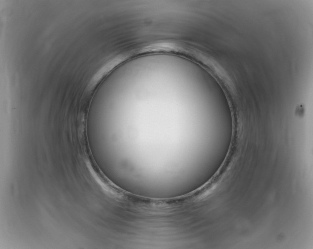 X0000089661233200706210723