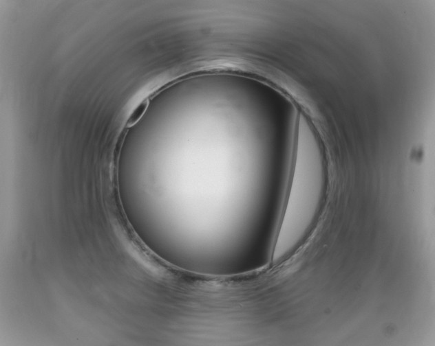 X0000089661234200706210723