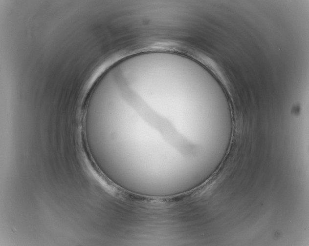 X0000089661235200706210723