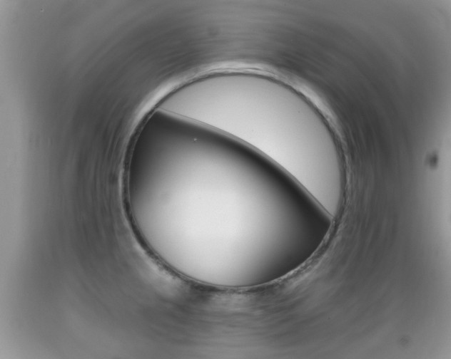 X0000089661237200706210723