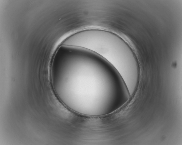 X0000089661238200706210723