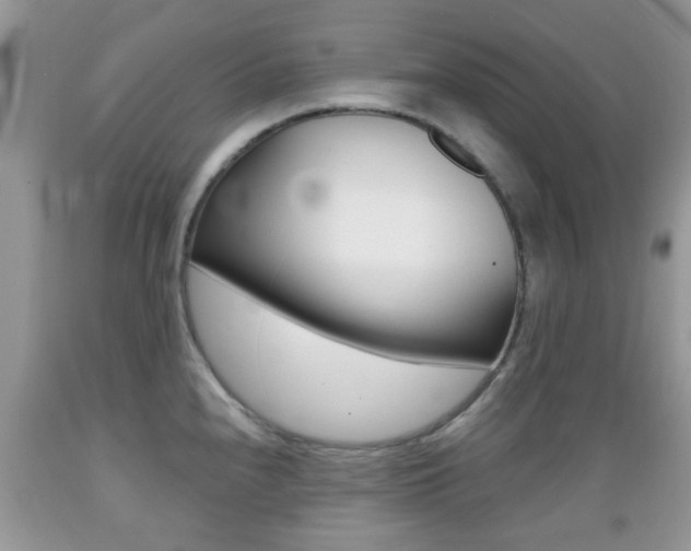 X0000089661240200706210723