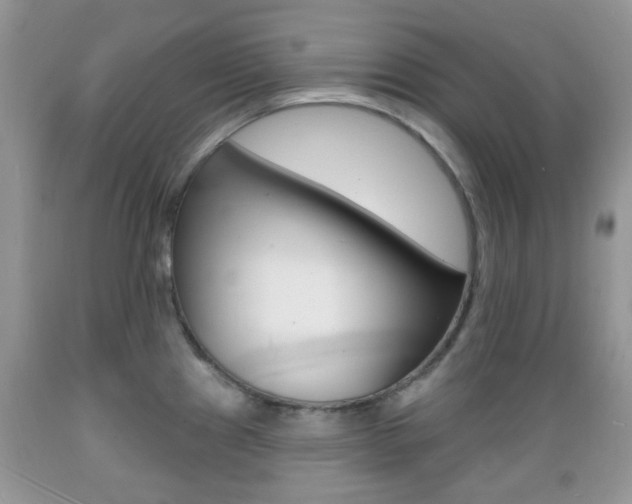 X0000089661241200706210723