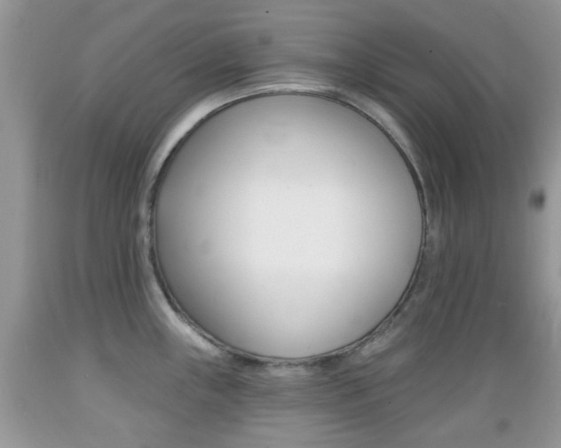 X0000089661243200706210723