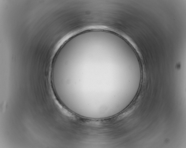 X0000089661245200706210723