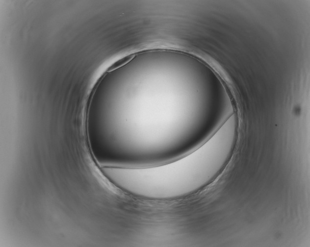 X0000089661246200706210723