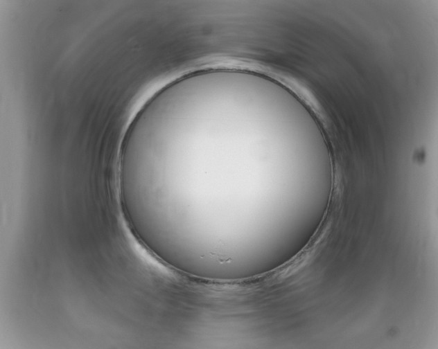 X0000089661247200706210723