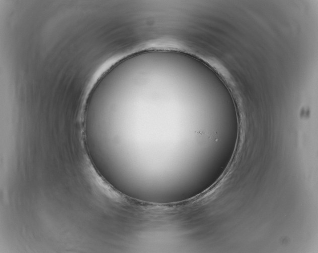 X0000089661248200706210723