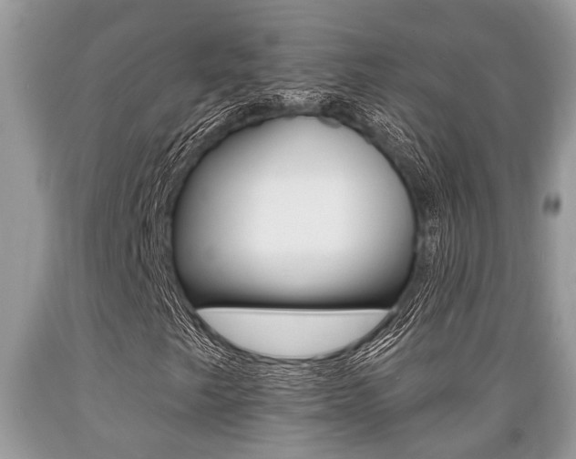 X0000089661249200706210723