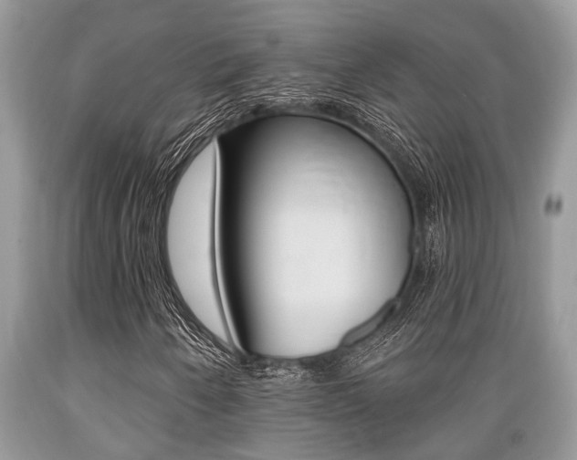 X0000089661250200706210723
