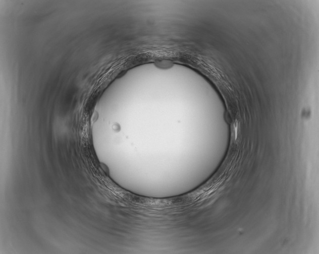 X0000089661251200706210723
