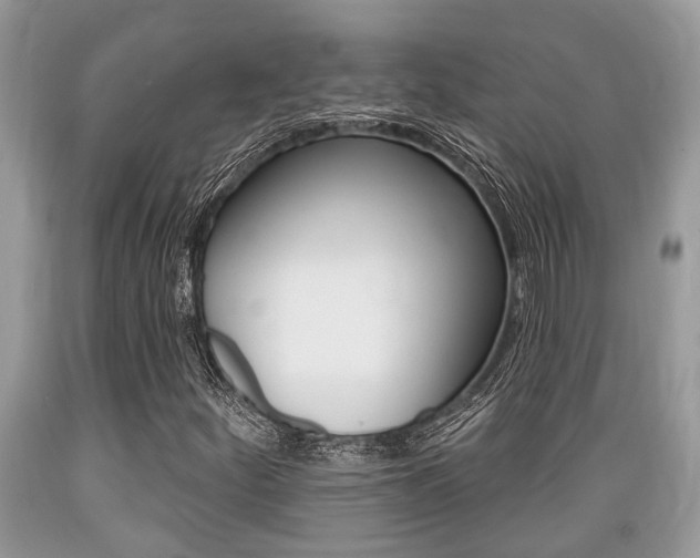 X0000089661252200706210723