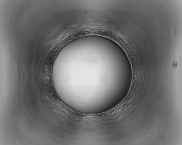 X0000089661253200706210723