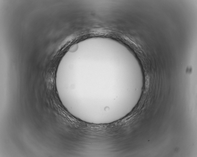 X0000089661254200706210723