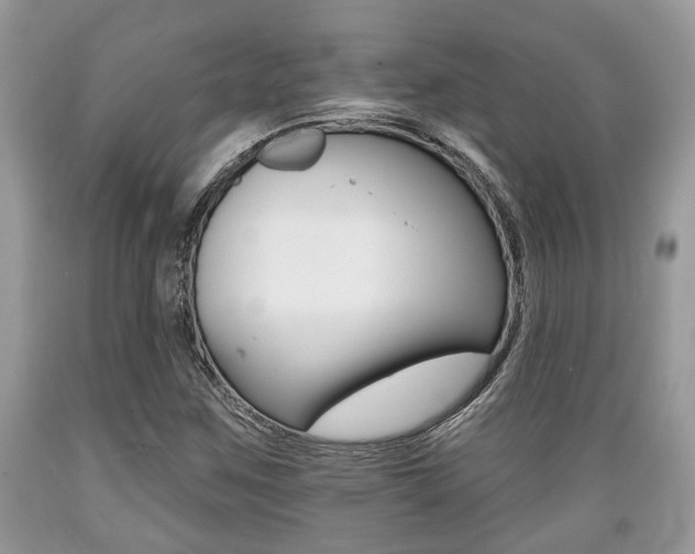 X0000089661259200706210723
