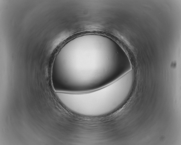 X0000089661261200706210723