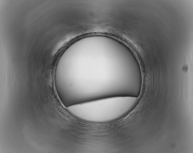 X0000089661262200706210723