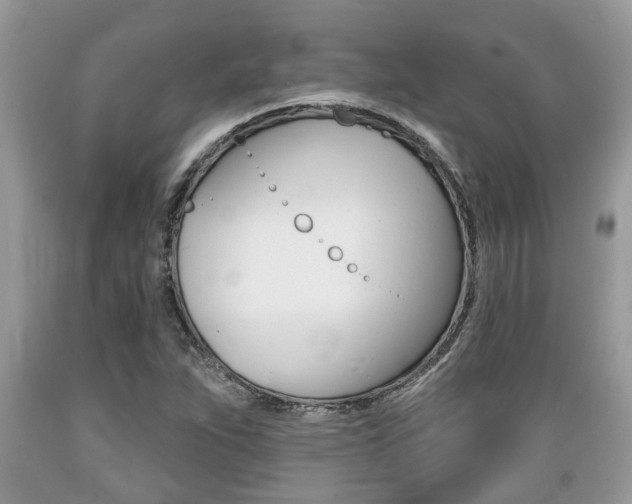 X0000089661263200706210723