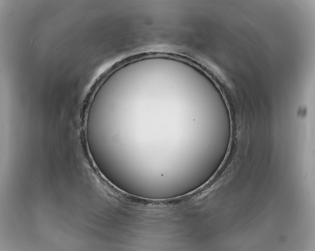 X0000089661264200706210723